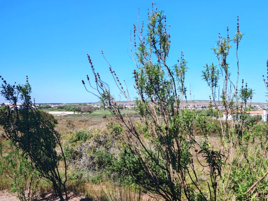 3 Bedroom Property for Sale in Langebaan Country Estate Western Cape